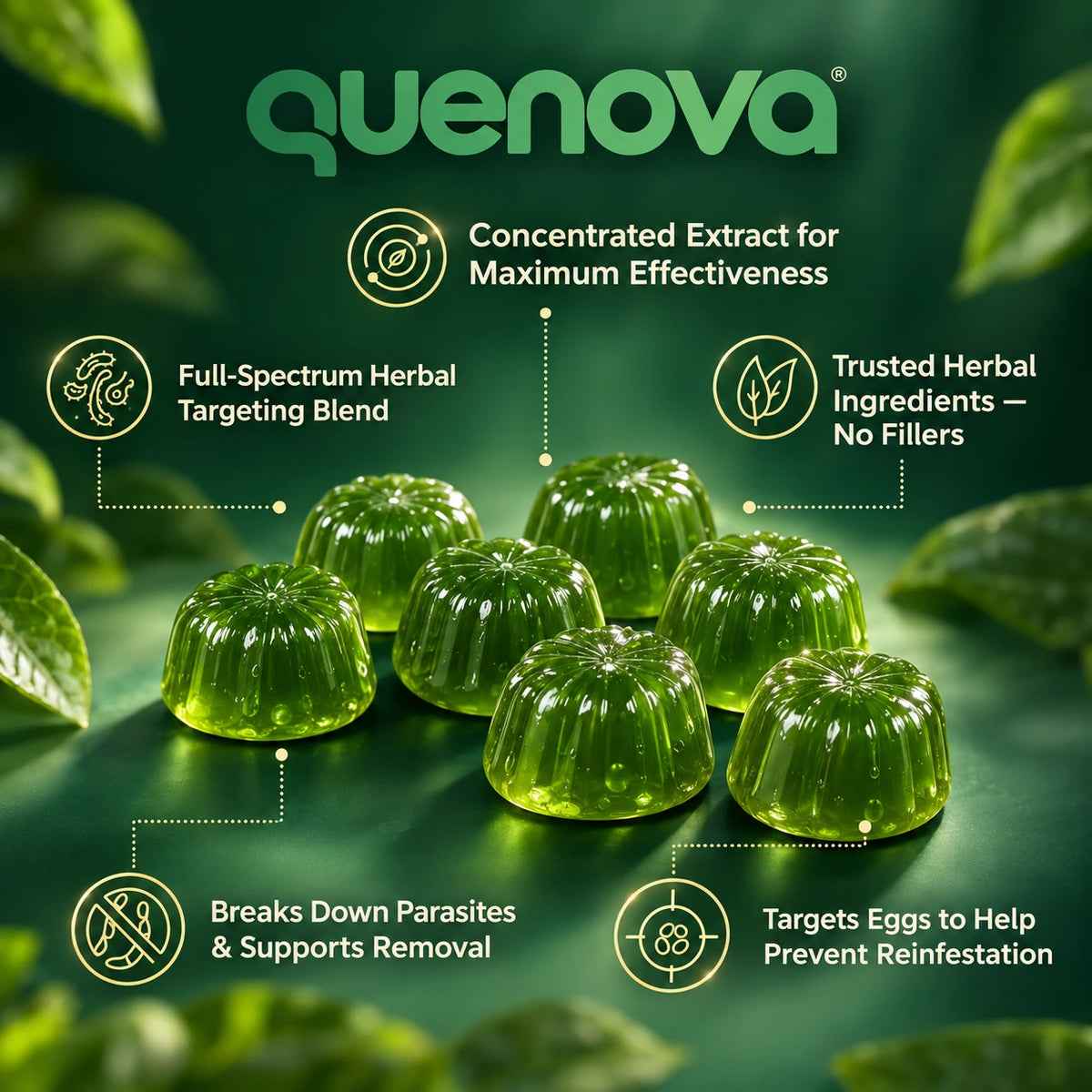 Quenova Soursop 20-in-1 Gummies