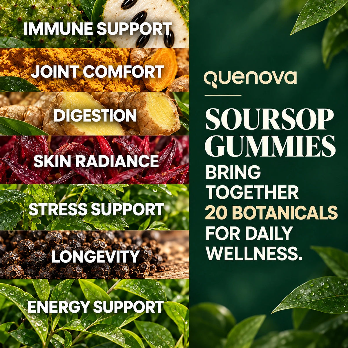 Quenova Soursop 20-in-1 Gummies